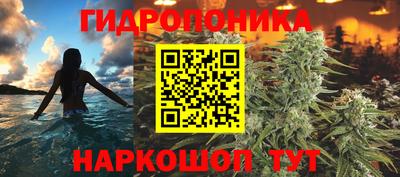 спиды Гагарин