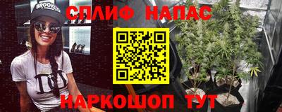 спиды Гагарин