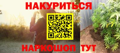 ешки Гатчина