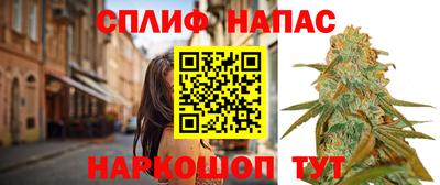 ешки Гатчина