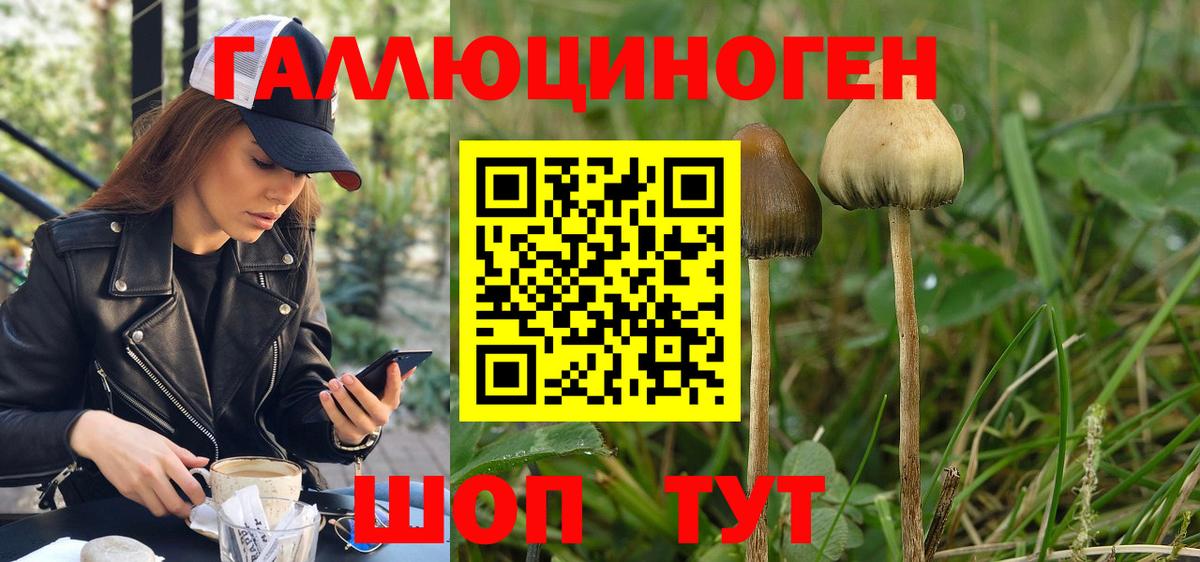 Галлюциногенные грибы мухоморы Саратов